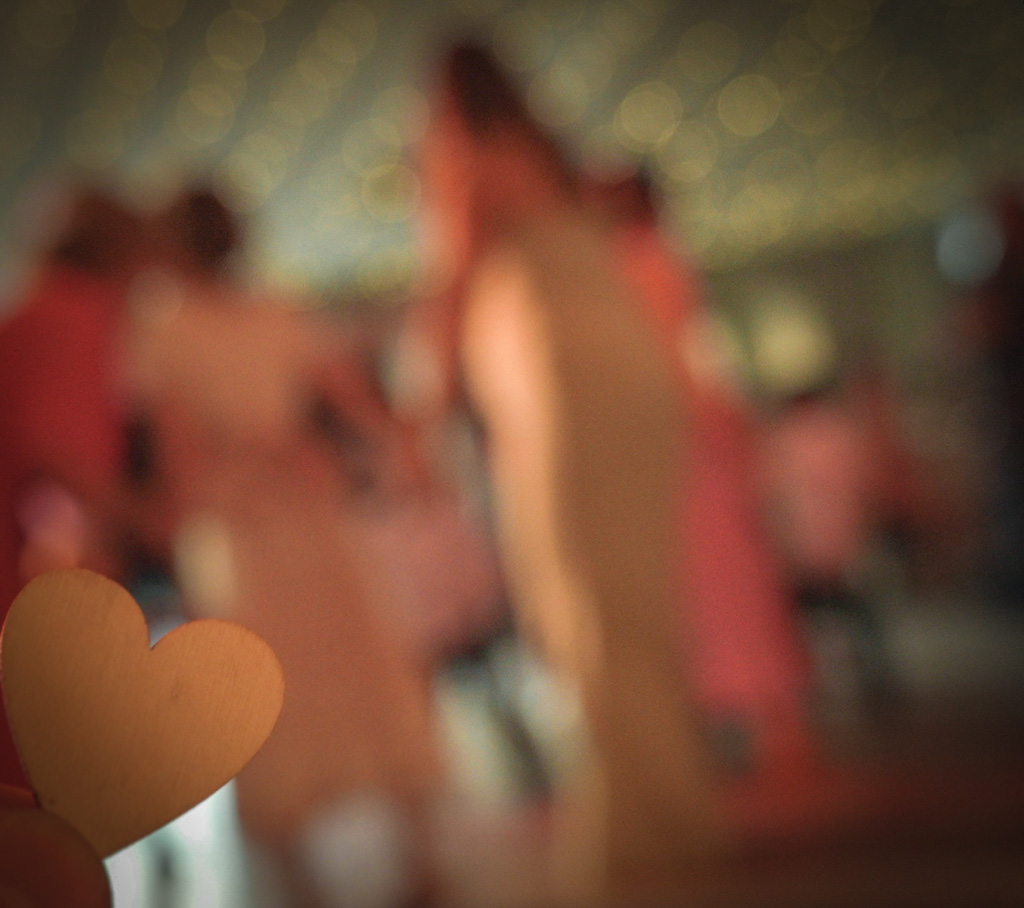 wedding party cinematographer